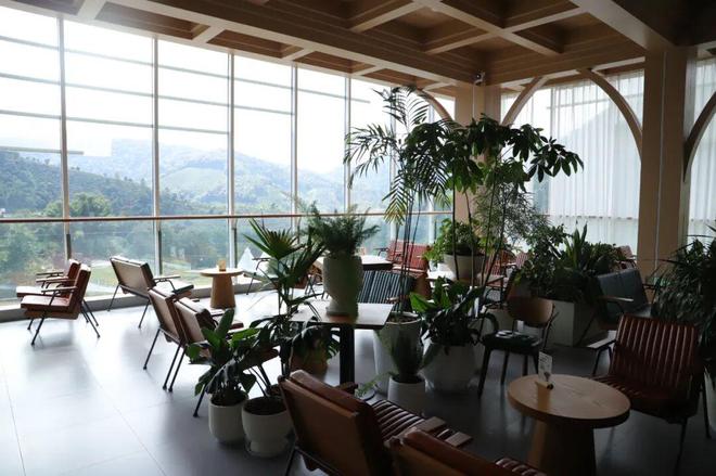 逆袭拼多多把“乡土生意”做成新国货AG真人平台app一颗云南豆子的