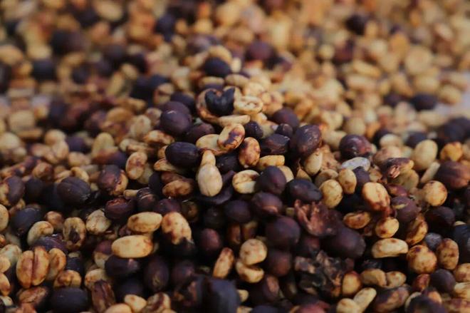 逆袭拼多多把“乡土生意”做成新国货AG真人平台app一颗云南豆子的(图3)